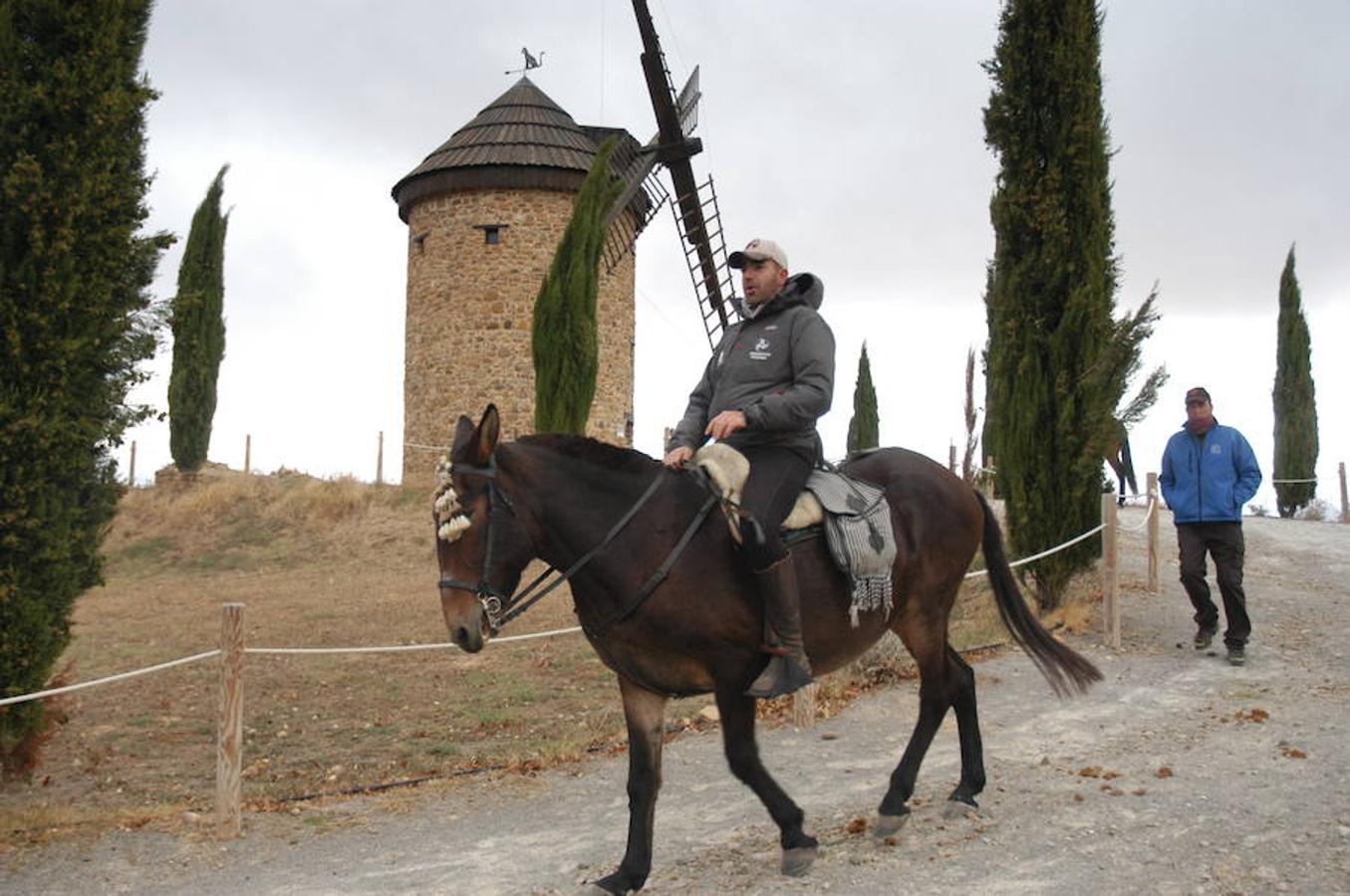 Imágenes correspondientes a la VII ruta ecuestre de Ocón celebrada el pasado domingo.