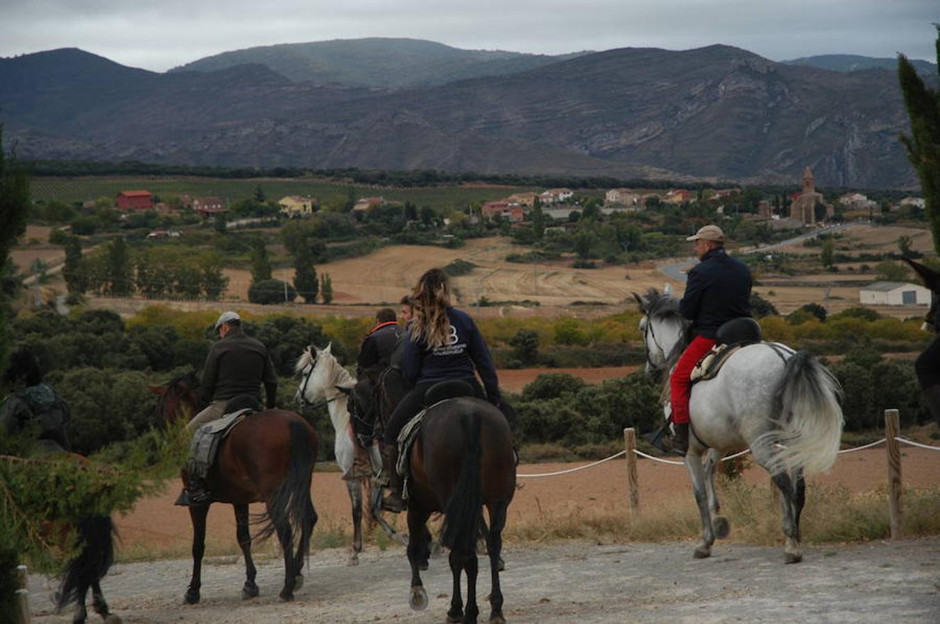 Imágenes correspondientes a la VII ruta ecuestre de Ocón celebrada el pasado domingo.