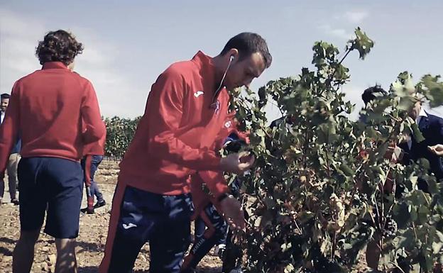 El Calahorra se va de vendimias