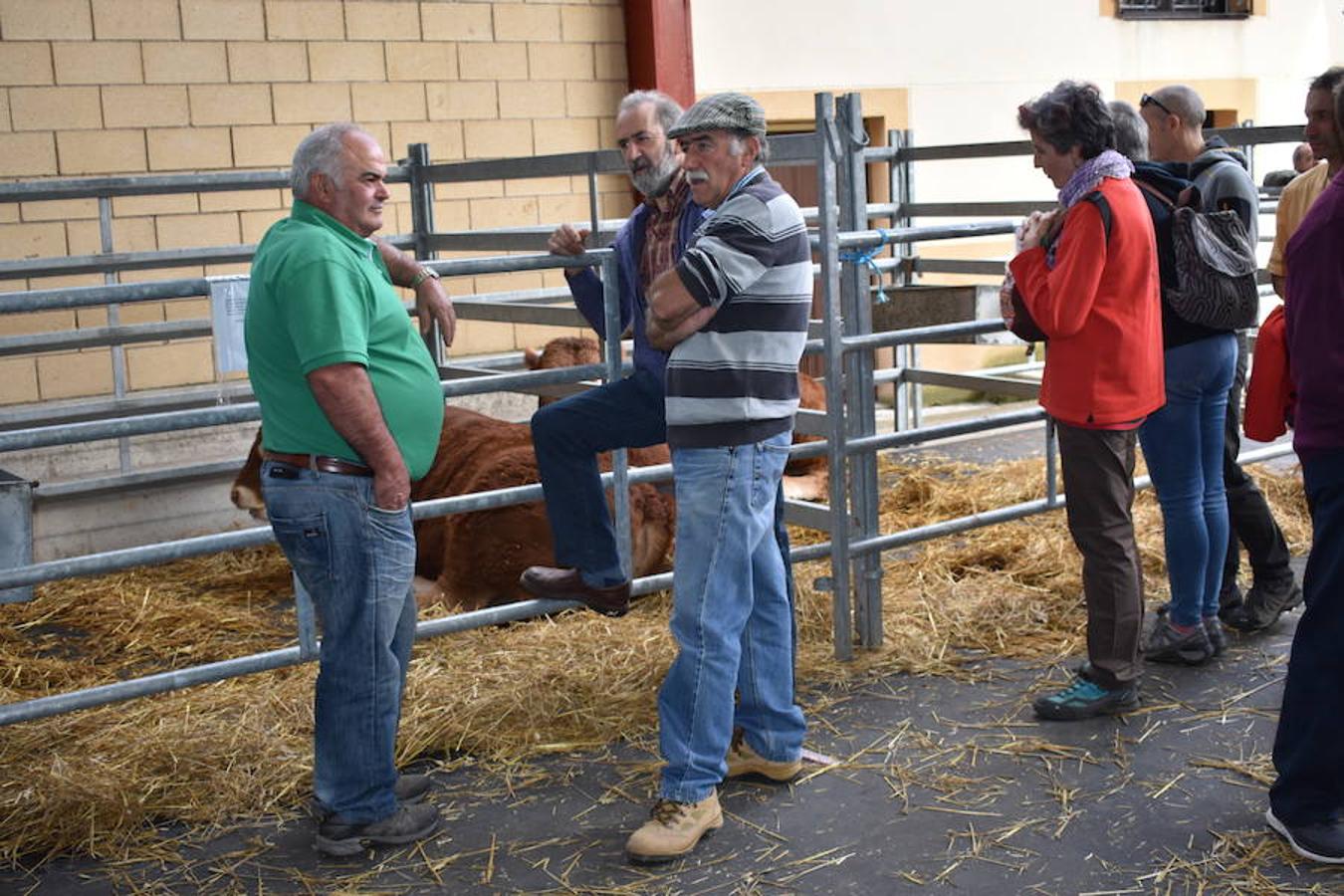 La Feria de Ganado Selecto del Camero Nuevo en Villoslada expone para su venta 30 cabezas de ganado bovino, entre sementales y novillas, procedentes de La Rioja, Castilla y León, País Vasco, Navarra y Aragón. La cita, organizada por la Asociación Ganadera del Alto Iregua en colaboración con la Consejería de Agricultura y Ganadería y el Ayuntamiento villosladense, tiene lugar en el frontón y en el paseo del Espolón.