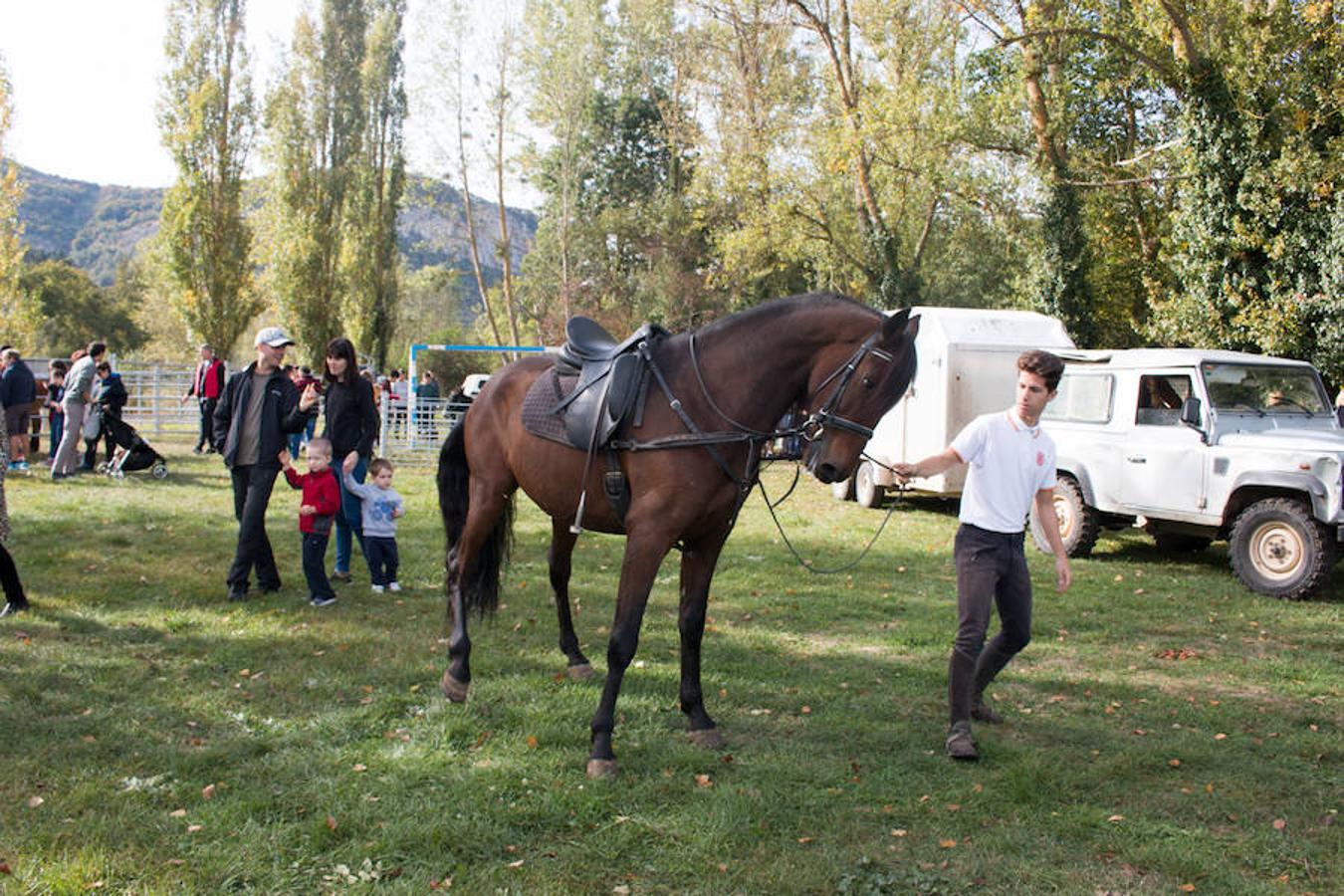 Ojacastro celebra hoy la segunda y última jornada de su feria de ganado y de artesanía agroalimentaria, que, 16 años después de echar a andar, sigue evidenciando su encaje y tirón dentro del 'puente' festivo del Pilar. 