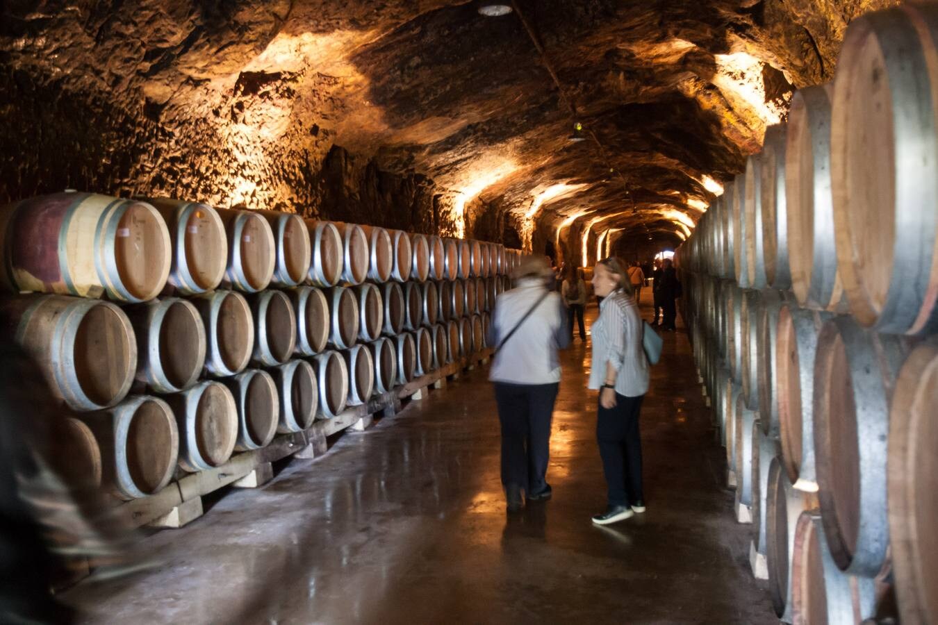 La Rioja Turismo estrena ruta enoturística inspirada en la novela de Andrés Pascual 'A merced de un dios salvaje'