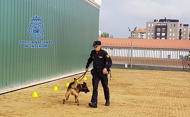 Actividad con un perro policía.
