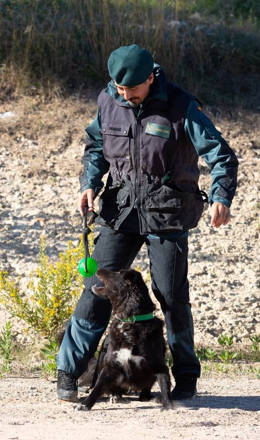 El Grupo de Acción Rápida (GAR) de la Guardia Civil y la Gendarmería Francesa están desarrollano unas jornadas prácticas en Logroño para implementar un nuevo sistema de detección de explosivos con perros en grandes concentraciones de personas, como eventos deportivos o musicales.