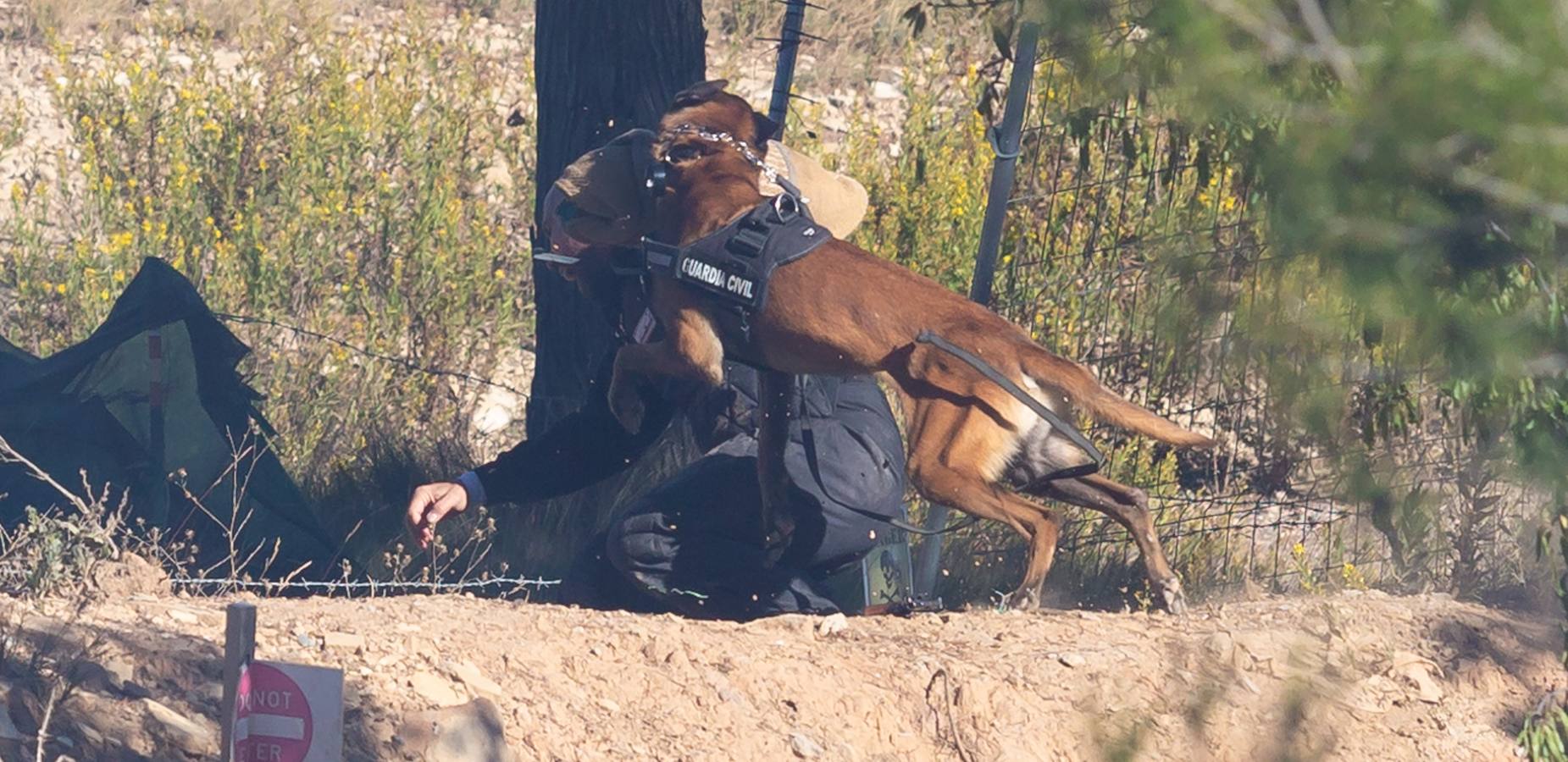 El Grupo de Acción Rápida (GAR) de la Guardia Civil y la Gendarmería Francesa están desarrollano unas jornadas prácticas en Logroño para implementar un nuevo sistema de detección de explosivos con perros en grandes concentraciones de personas, como eventos deportivos o musicales.