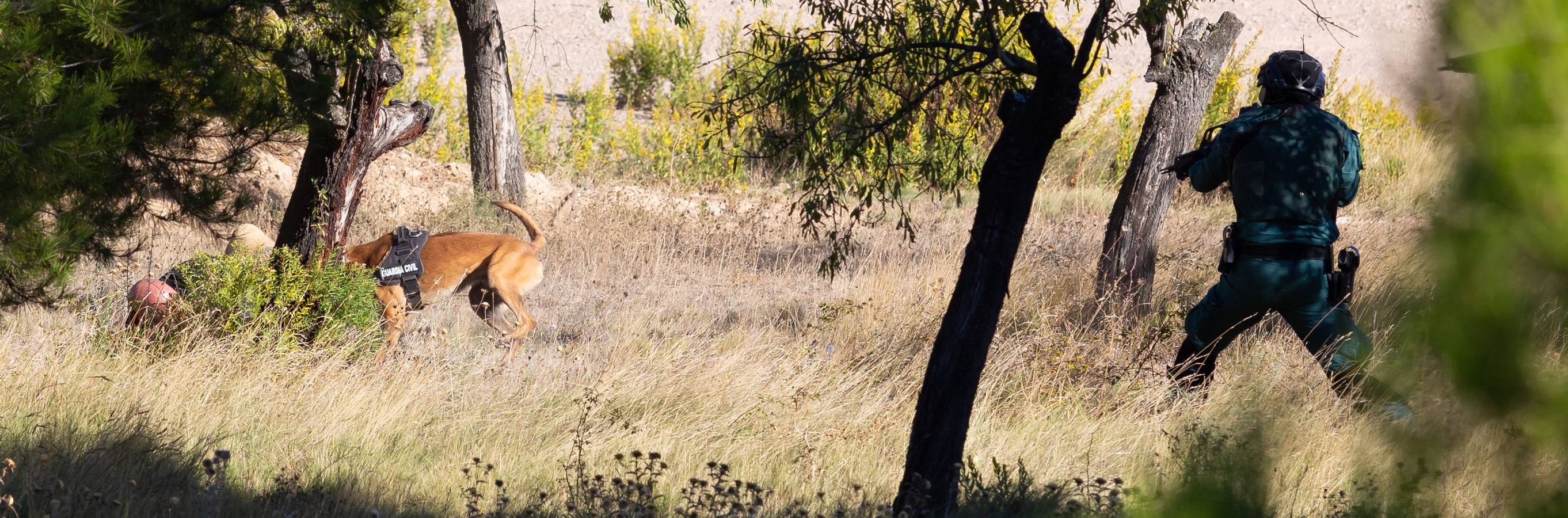 El Grupo de Acción Rápida (GAR) de la Guardia Civil y la Gendarmería Francesa están desarrollano unas jornadas prácticas en Logroño para implementar un nuevo sistema de detección de explosivos con perros en grandes concentraciones de personas, como eventos deportivos o musicales.