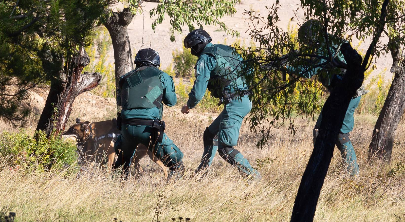 El Grupo de Acción Rápida (GAR) de la Guardia Civil y la Gendarmería Francesa están desarrollano unas jornadas prácticas en Logroño para implementar un nuevo sistema de detección de explosivos con perros en grandes concentraciones de personas, como eventos deportivos o musicales.