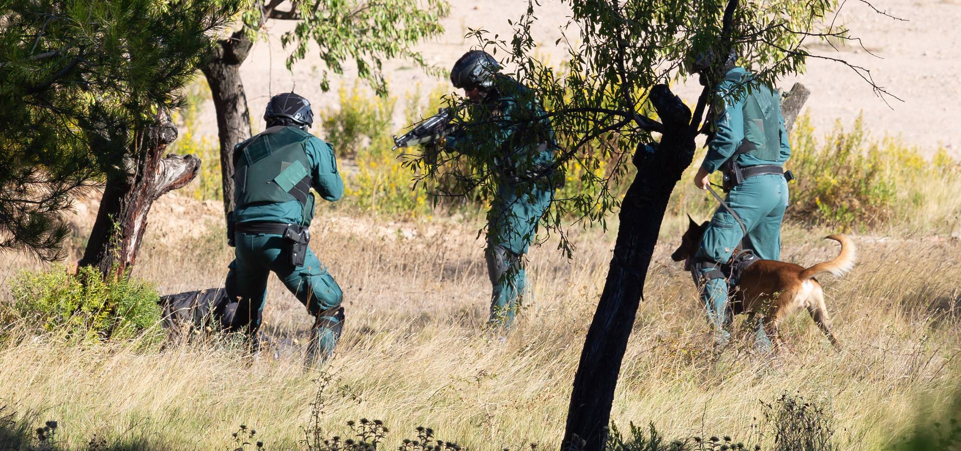 El Grupo de Acción Rápida (GAR) de la Guardia Civil y la Gendarmería Francesa están desarrollano unas jornadas prácticas en Logroño para implementar un nuevo sistema de detección de explosivos con perros en grandes concentraciones de personas, como eventos deportivos o musicales.