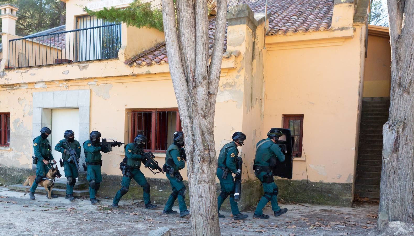 El Grupo de Acción Rápida (GAR) de la Guardia Civil y la Gendarmería Francesa están desarrollano unas jornadas prácticas en Logroño para implementar un nuevo sistema de detección de explosivos con perros en grandes concentraciones de personas, como eventos deportivos o musicales.