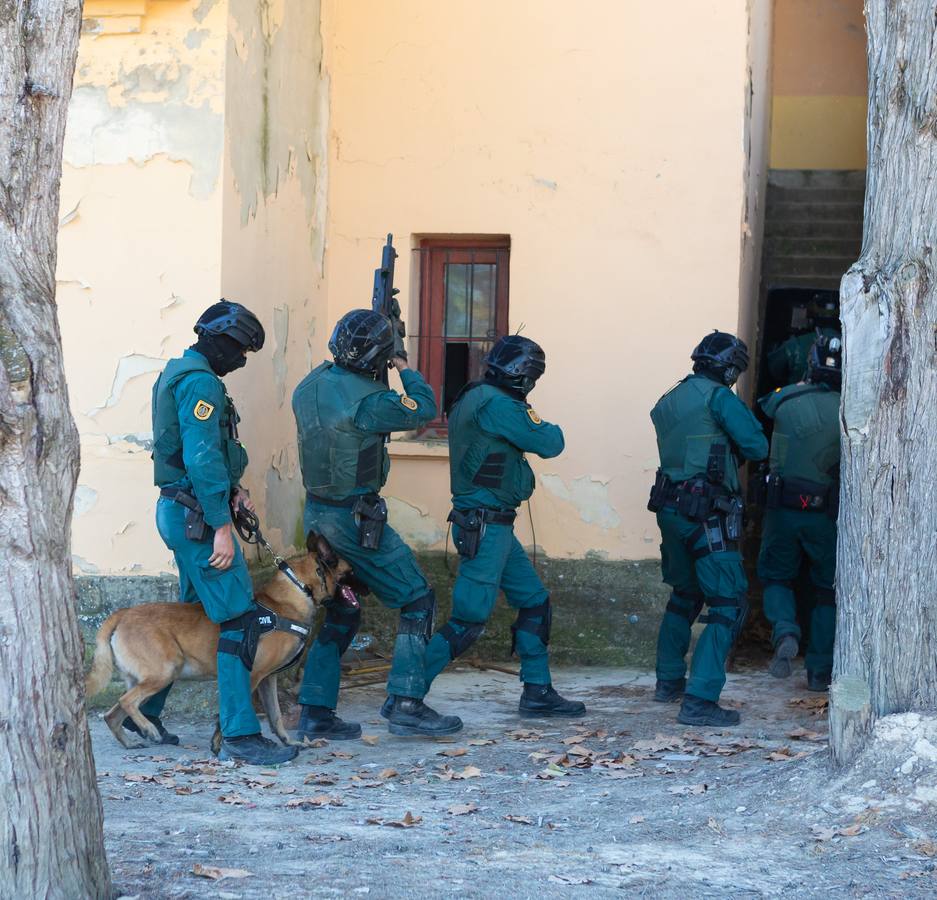 El Grupo de Acción Rápida (GAR) de la Guardia Civil y la Gendarmería Francesa están desarrollano unas jornadas prácticas en Logroño para implementar un nuevo sistema de detección de explosivos con perros en grandes concentraciones de personas, como eventos deportivos o musicales.