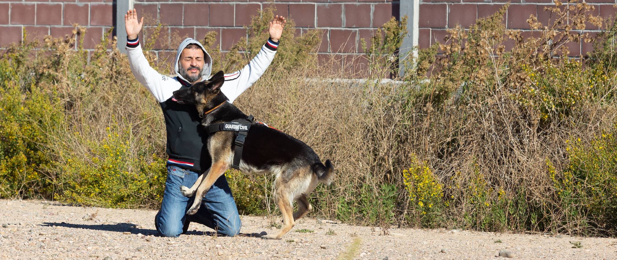 El Grupo de Acción Rápida (GAR) de la Guardia Civil y la Gendarmería Francesa están desarrollano unas jornadas prácticas en Logroño para implementar un nuevo sistema de detección de explosivos con perros en grandes concentraciones de personas, como eventos deportivos o musicales.