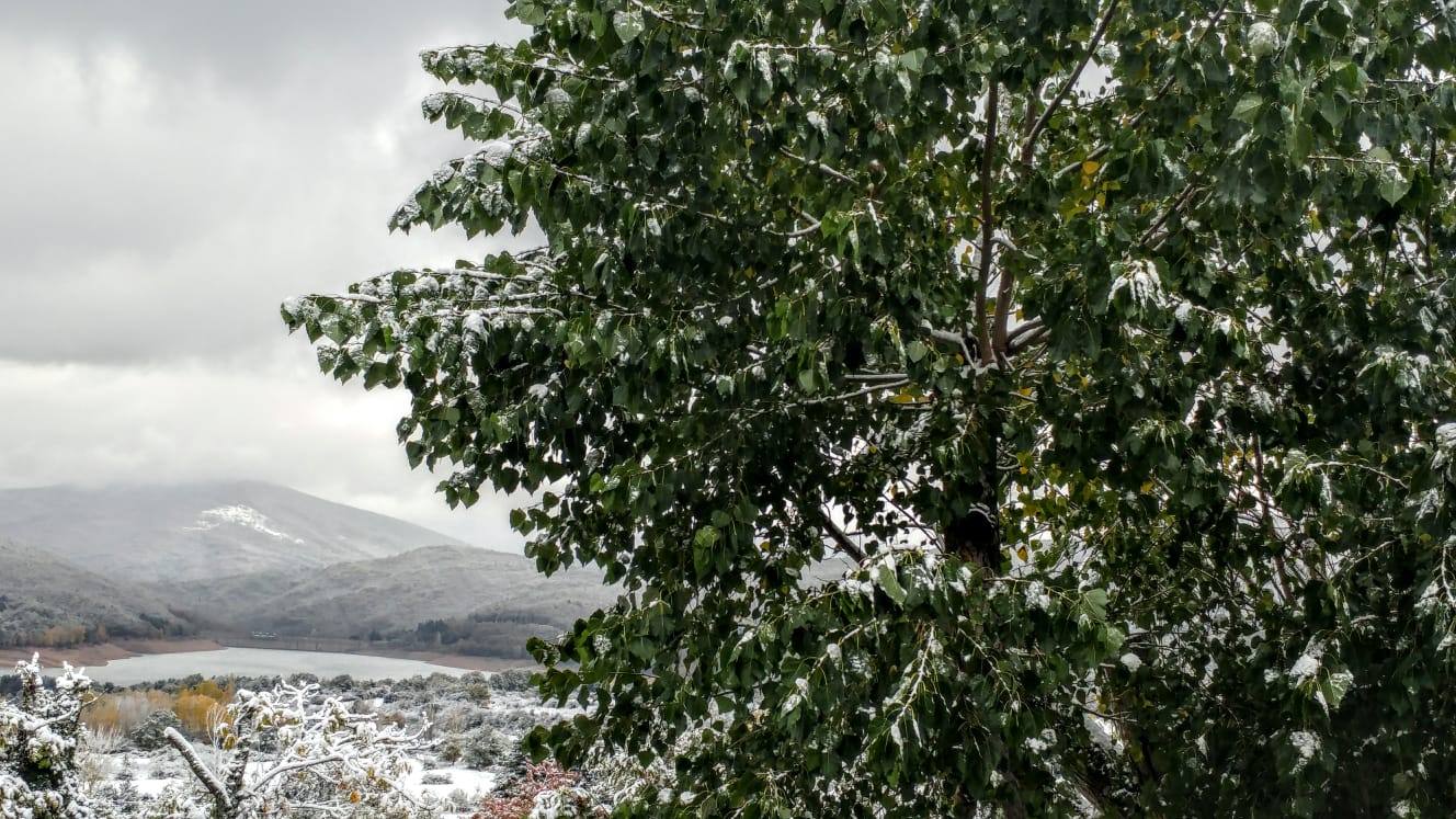 Nieve en El Rasillo