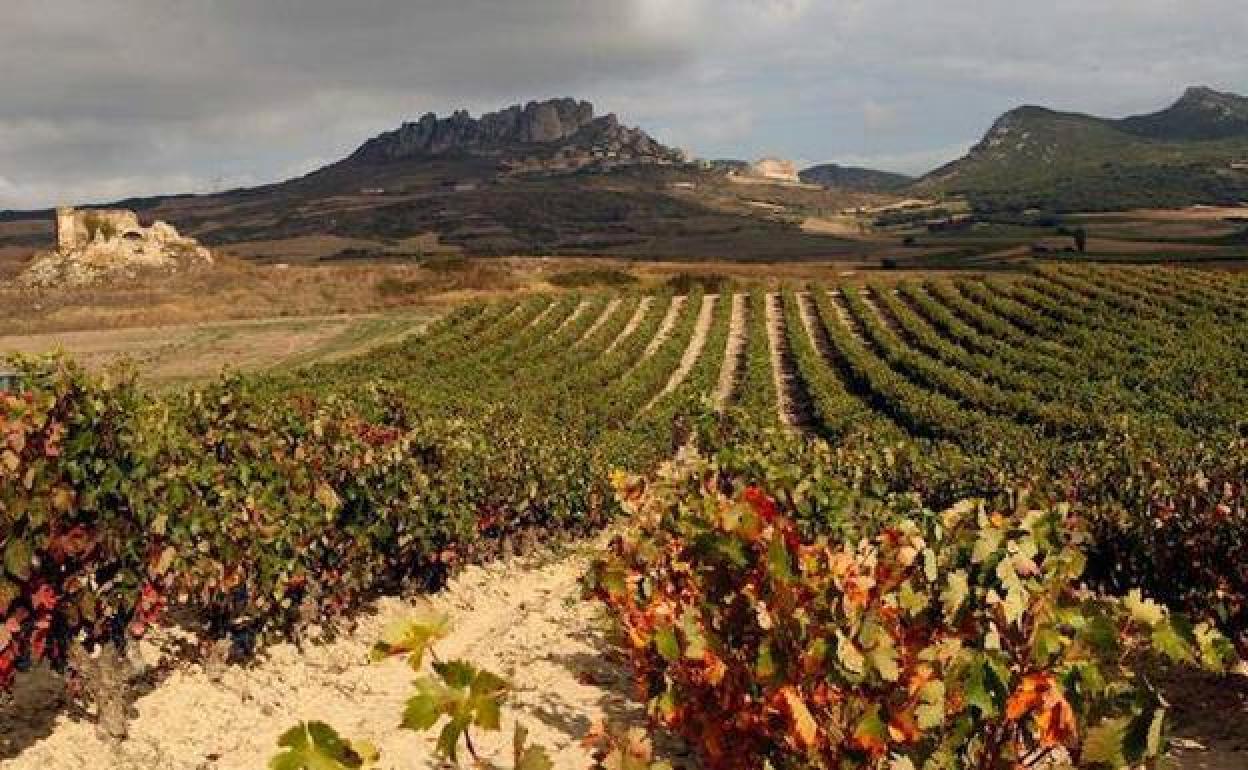 Turismo en La Rioja: Románico y viñedo desde Tirgo