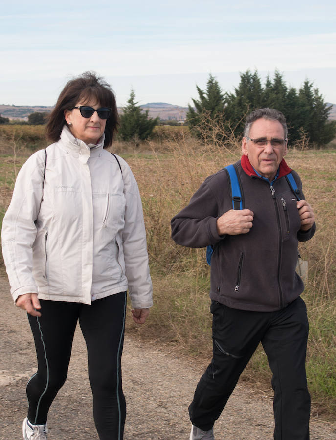 La iniciativa 'En marcha por la vida' ha reunido unas 650 personas para salir de paseo en una iniciativa organizada por la Asociación Española Contra el Cáncer de La Rioja, organizadora de la caminata que cubrió unos 12 kilómetros desde Santo Domingo de la Calzada y Hervías, y regreso. 