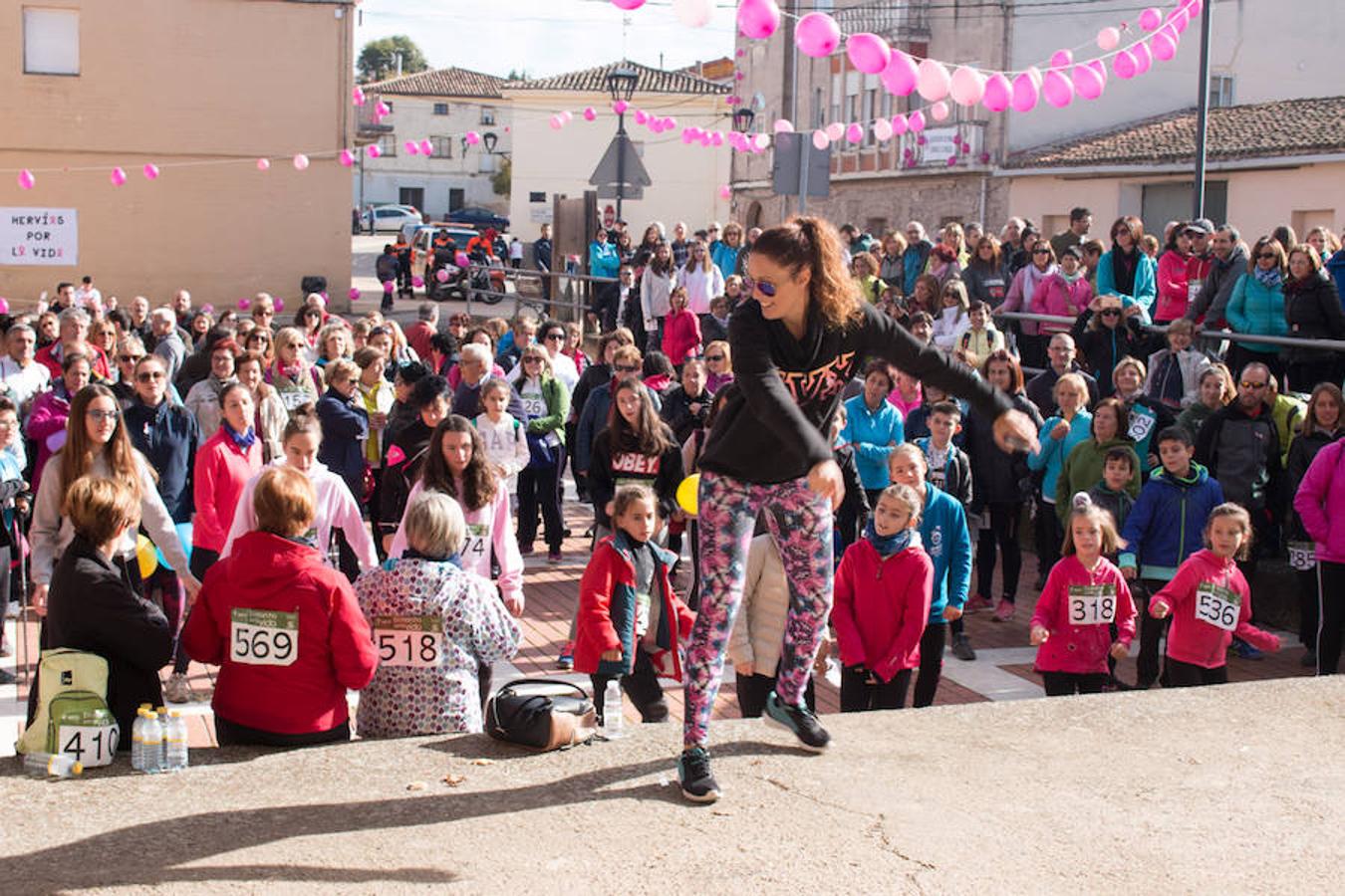 La iniciativa 'En marcha por la vida' ha reunido unas 650 personas para salir de paseo en una iniciativa organizada por la Asociación Española Contra el Cáncer de La Rioja, organizadora de la caminata que cubrió unos 12 kilómetros desde Santo Domingo de la Calzada y Hervías, y regreso. 