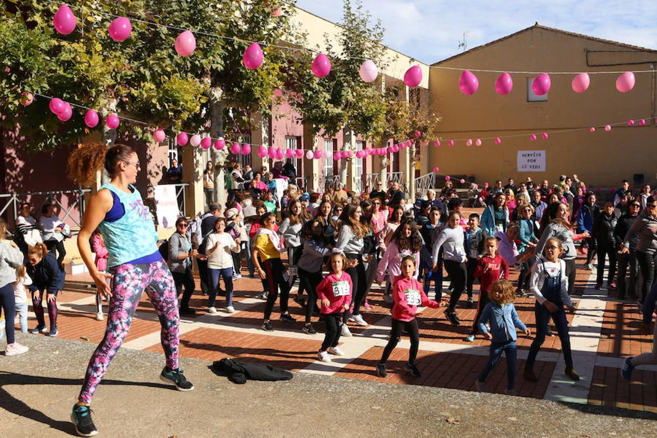 La iniciativa 'En marcha por la vida' ha reunido unas 650 personas para salir de paseo en una iniciativa organizada por la Asociación Española Contra el Cáncer de La Rioja, organizadora de la caminata que cubrió unos 12 kilómetros desde Santo Domingo de la Calzada y Hervías, y regreso. 