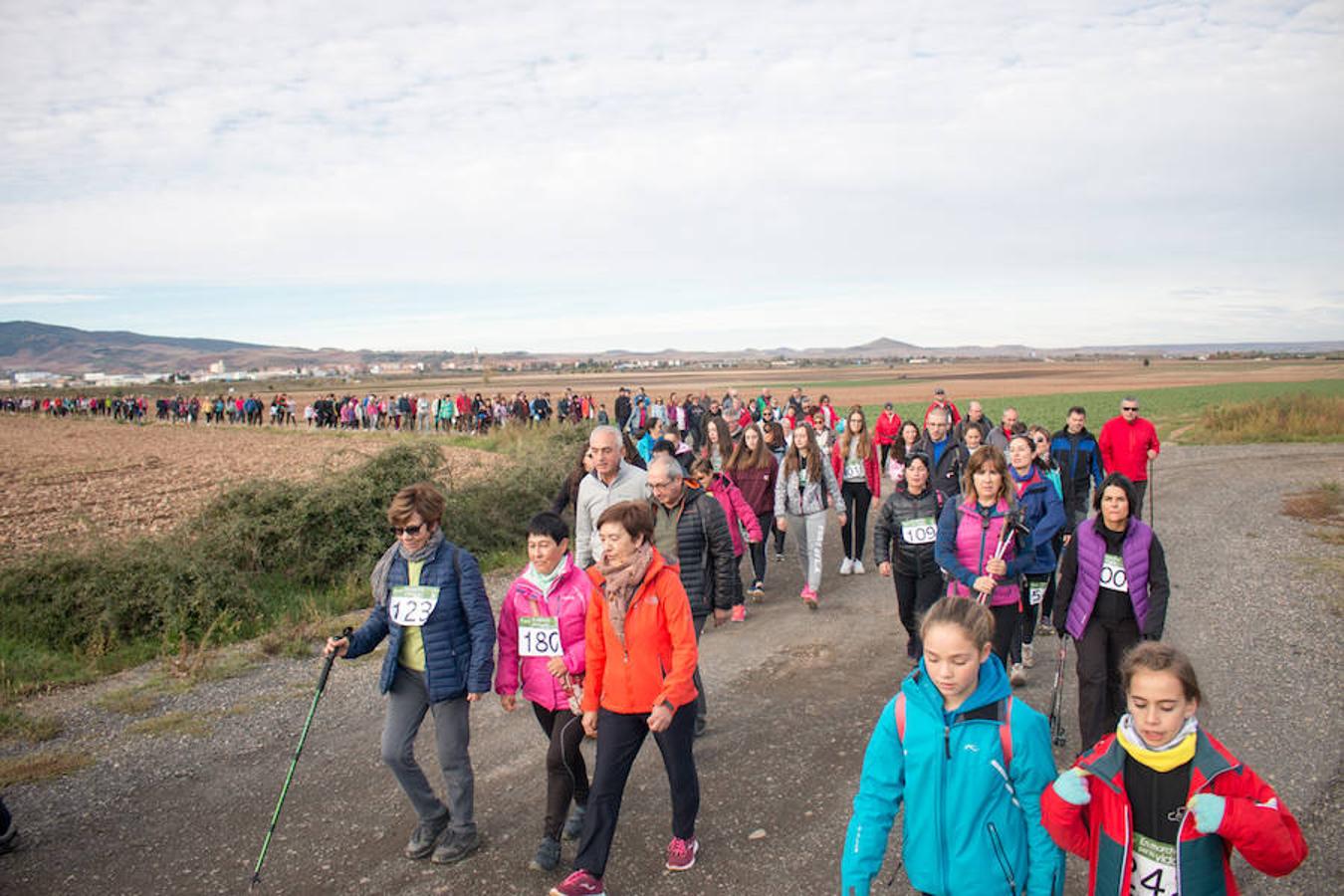 La iniciativa 'En marcha por la vida' ha reunido unas 650 personas para salir de paseo en una iniciativa organizada por la Asociación Española Contra el Cáncer de La Rioja, organizadora de la caminata que cubrió unos 12 kilómetros desde Santo Domingo de la Calzada y Hervías, y regreso. 