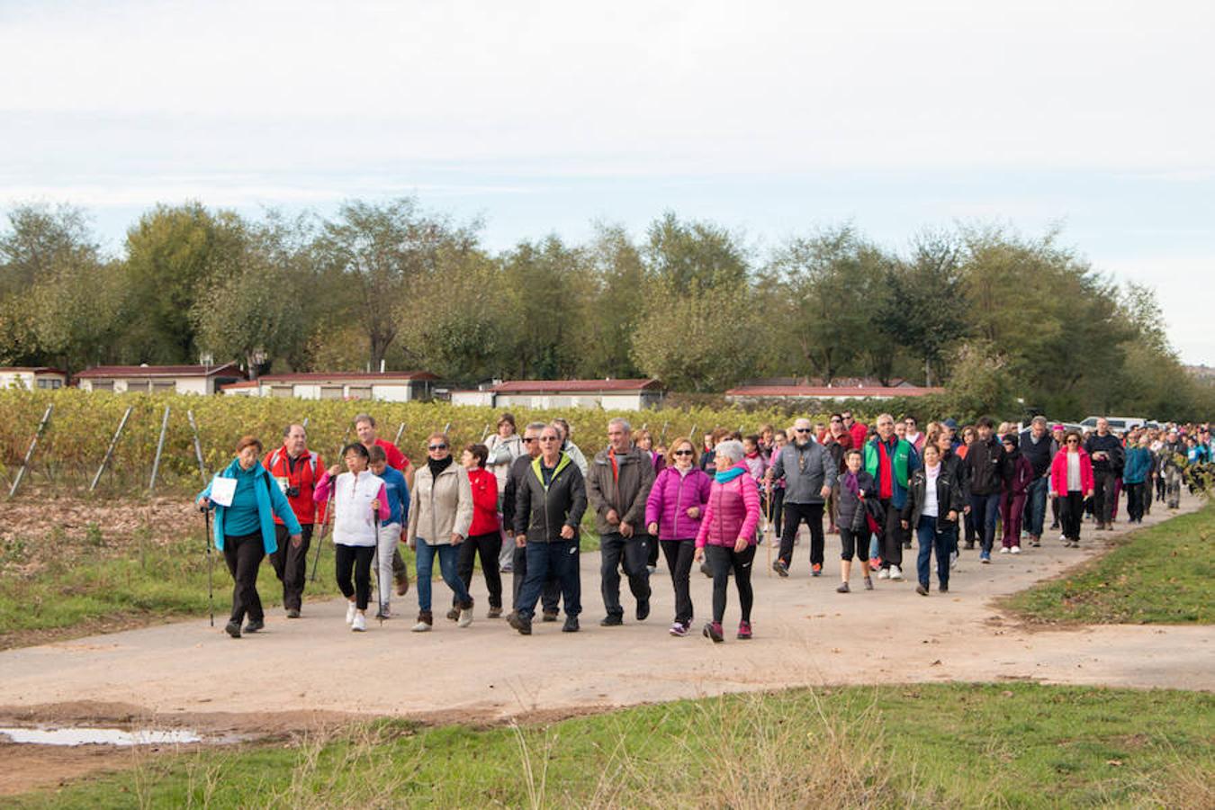 La iniciativa 'En marcha por la vida' ha reunido unas 650 personas para salir de paseo en una iniciativa organizada por la Asociación Española Contra el Cáncer de La Rioja, organizadora de la caminata que cubrió unos 12 kilómetros desde Santo Domingo de la Calzada y Hervías, y regreso. 