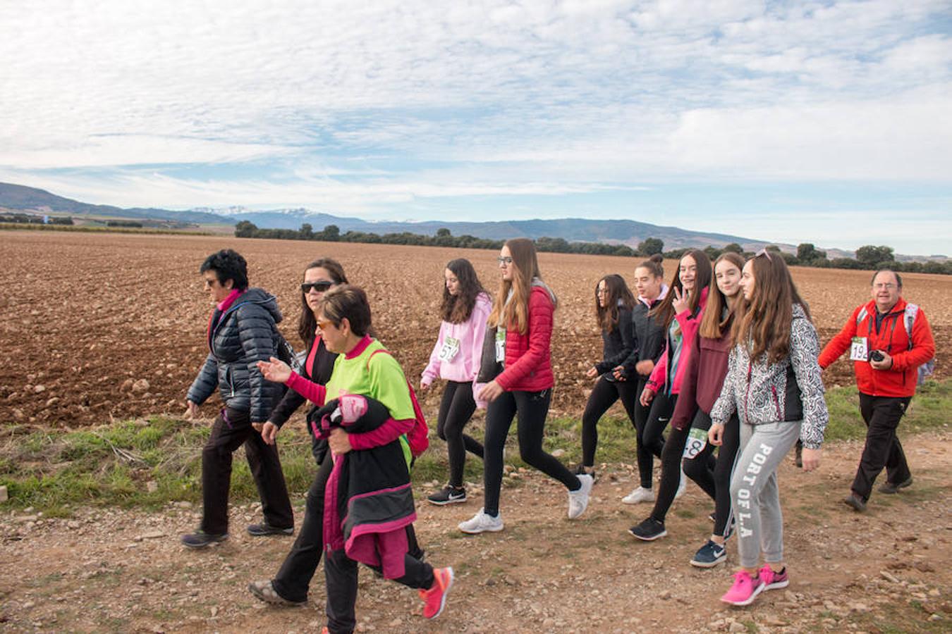 La iniciativa 'En marcha por la vida' ha reunido unas 650 personas para salir de paseo en una iniciativa organizada por la Asociación Española Contra el Cáncer de La Rioja, organizadora de la caminata que cubrió unos 12 kilómetros desde Santo Domingo de la Calzada y Hervías, y regreso. 