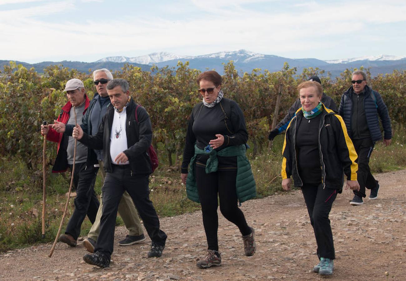 La iniciativa 'En marcha por la vida' ha reunido unas 650 personas para salir de paseo en una iniciativa organizada por la Asociación Española Contra el Cáncer de La Rioja, organizadora de la caminata que cubrió unos 12 kilómetros desde Santo Domingo de la Calzada y Hervías, y regreso. 