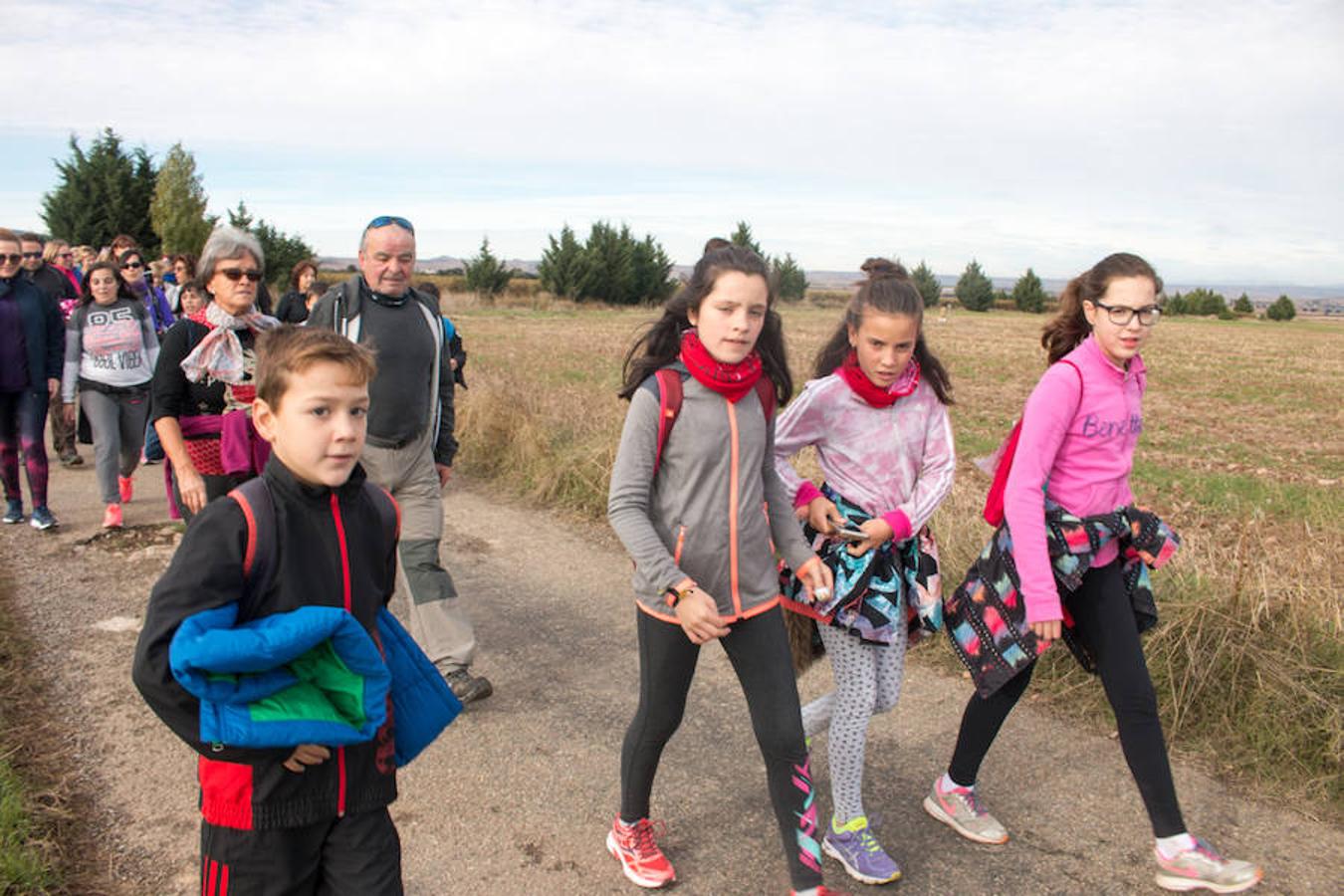 La iniciativa 'En marcha por la vida' ha reunido unas 650 personas para salir de paseo en una iniciativa organizada por la Asociación Española Contra el Cáncer de La Rioja, organizadora de la caminata que cubrió unos 12 kilómetros desde Santo Domingo de la Calzada y Hervías, y regreso. 