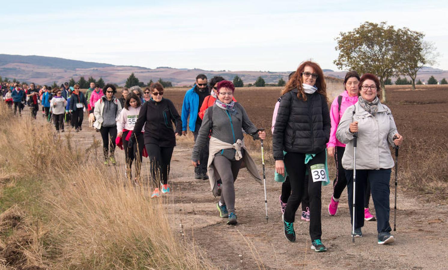 La iniciativa 'En marcha por la vida' ha reunido unas 650 personas para salir de paseo en una iniciativa organizada por la Asociación Española Contra el Cáncer de La Rioja, organizadora de la caminata que cubrió unos 12 kilómetros desde Santo Domingo de la Calzada y Hervías, y regreso. 