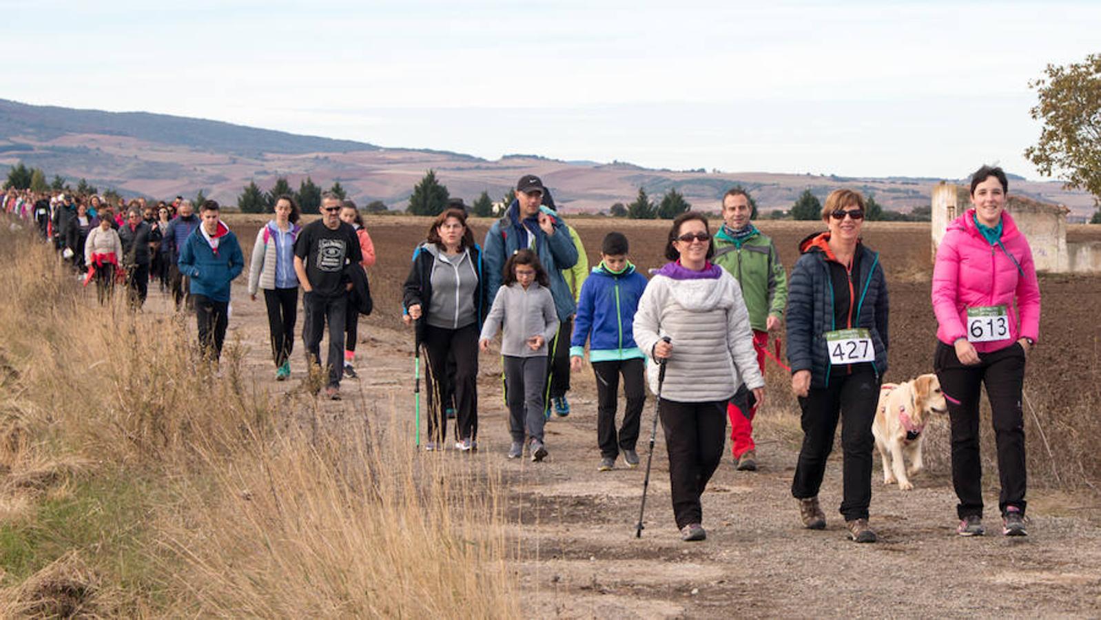 La iniciativa 'En marcha por la vida' ha reunido unas 650 personas para salir de paseo en una iniciativa organizada por la Asociación Española Contra el Cáncer de La Rioja, organizadora de la caminata que cubrió unos 12 kilómetros desde Santo Domingo de la Calzada y Hervías, y regreso. 