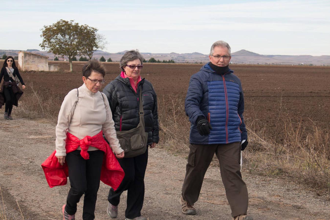 La iniciativa 'En marcha por la vida' ha reunido unas 650 personas para salir de paseo en una iniciativa organizada por la Asociación Española Contra el Cáncer de La Rioja, organizadora de la caminata que cubrió unos 12 kilómetros desde Santo Domingo de la Calzada y Hervías, y regreso. 