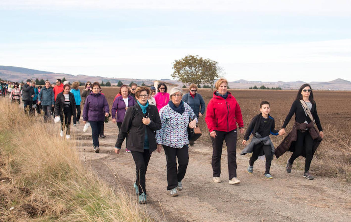 La iniciativa 'En marcha por la vida' ha reunido unas 650 personas para salir de paseo en una iniciativa organizada por la Asociación Española Contra el Cáncer de La Rioja, organizadora de la caminata que cubrió unos 12 kilómetros desde Santo Domingo de la Calzada y Hervías, y regreso. 