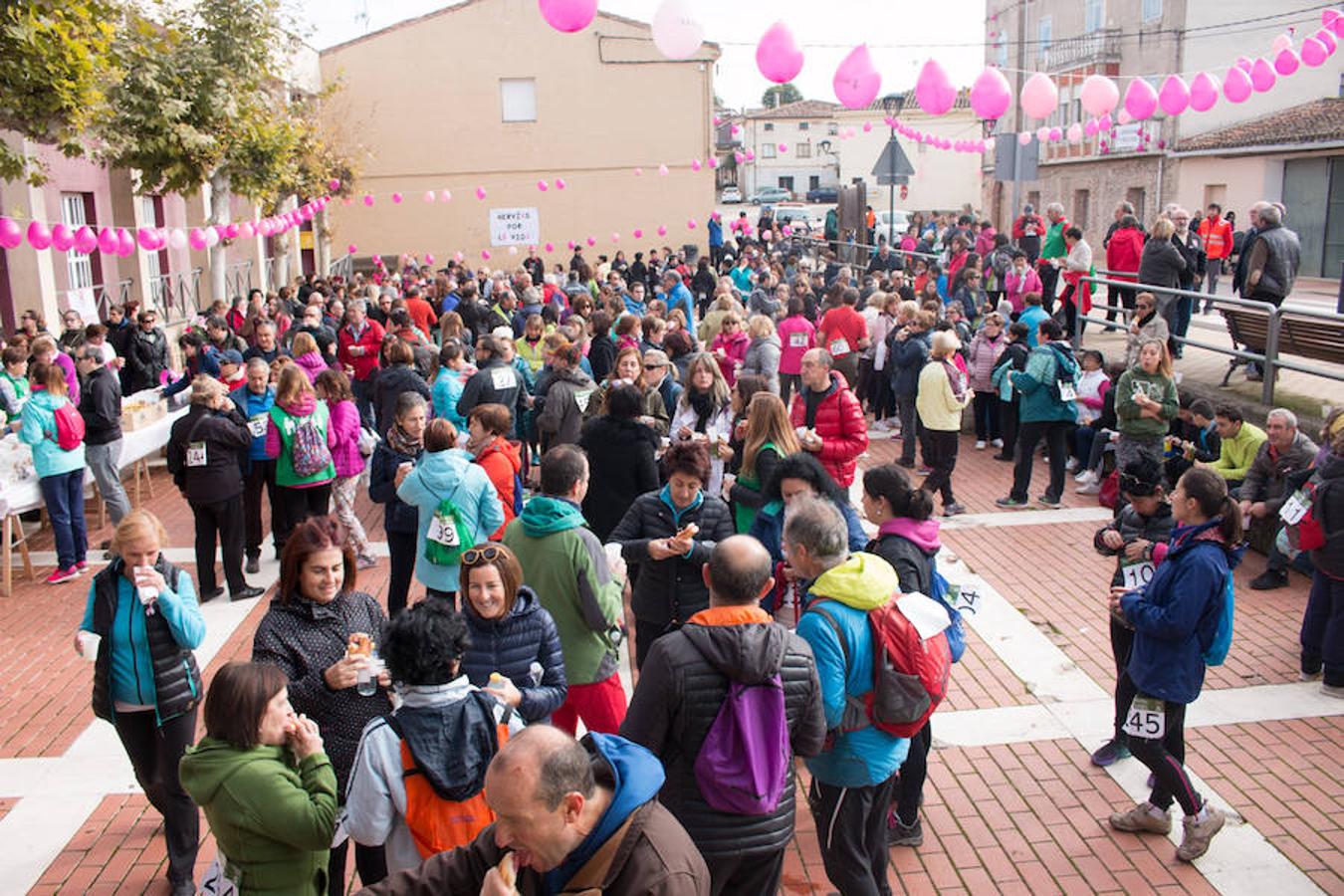 La iniciativa 'En marcha por la vida' ha reunido unas 650 personas para salir de paseo en una iniciativa organizada por la Asociación Española Contra el Cáncer de La Rioja, organizadora de la caminata que cubrió unos 12 kilómetros desde Santo Domingo de la Calzada y Hervías, y regreso. 