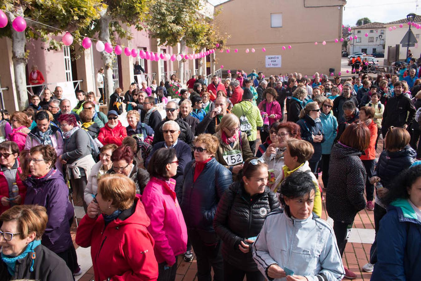 La iniciativa 'En marcha por la vida' ha reunido unas 650 personas para salir de paseo en una iniciativa organizada por la Asociación Española Contra el Cáncer de La Rioja, organizadora de la caminata que cubrió unos 12 kilómetros desde Santo Domingo de la Calzada y Hervías, y regreso. 