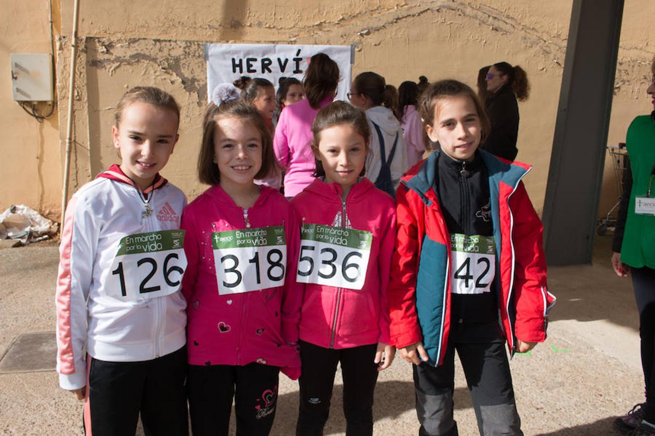 La iniciativa 'En marcha por la vida' ha reunido unas 650 personas para salir de paseo en una iniciativa organizada por la Asociación Española Contra el Cáncer de La Rioja, organizadora de la caminata que cubrió unos 12 kilómetros desde Santo Domingo de la Calzada y Hervías, y regreso. 