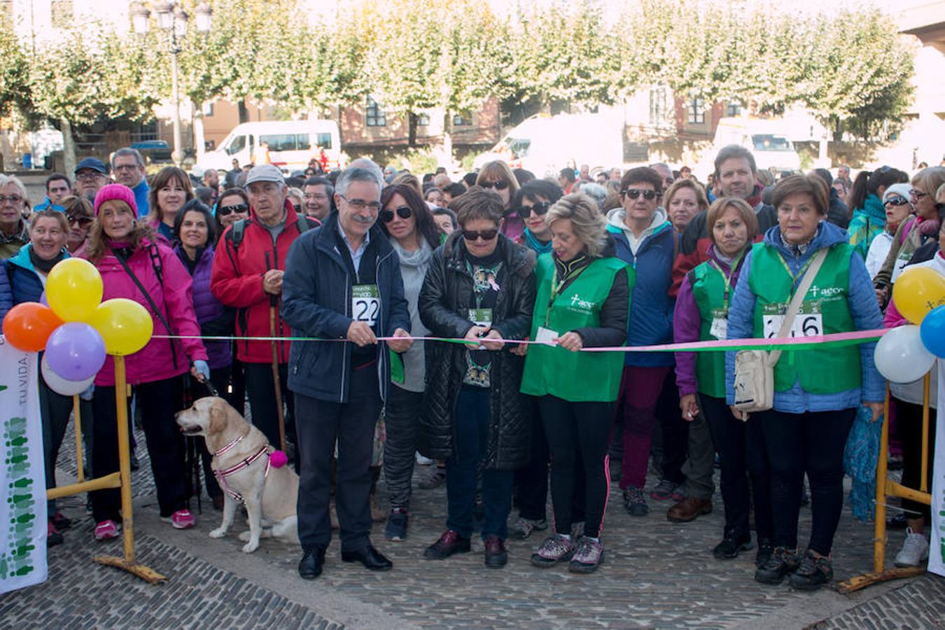 La iniciativa 'En marcha por la vida' ha reunido unas 650 personas para salir de paseo en una iniciativa organizada por la Asociación Española Contra el Cáncer de La Rioja, organizadora de la caminata que cubrió unos 12 kilómetros desde Santo Domingo de la Calzada y Hervías, y regreso. 