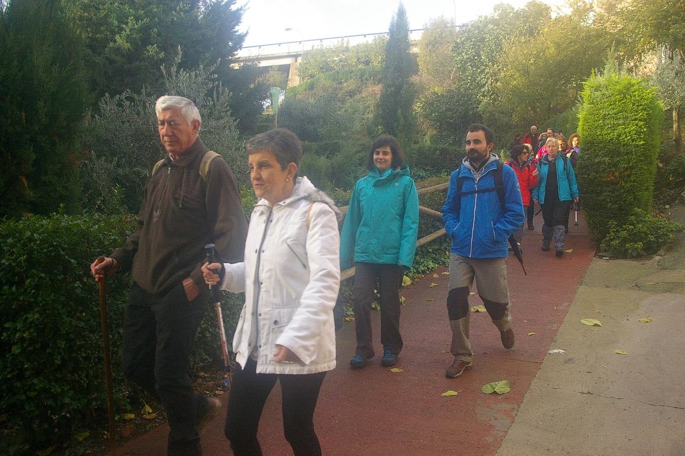 Alrededor de 150 personas estaban inscritas para tomar parte en una nueva edición de la 'Marcha de otoño', que tuvo lugar en Cenicero