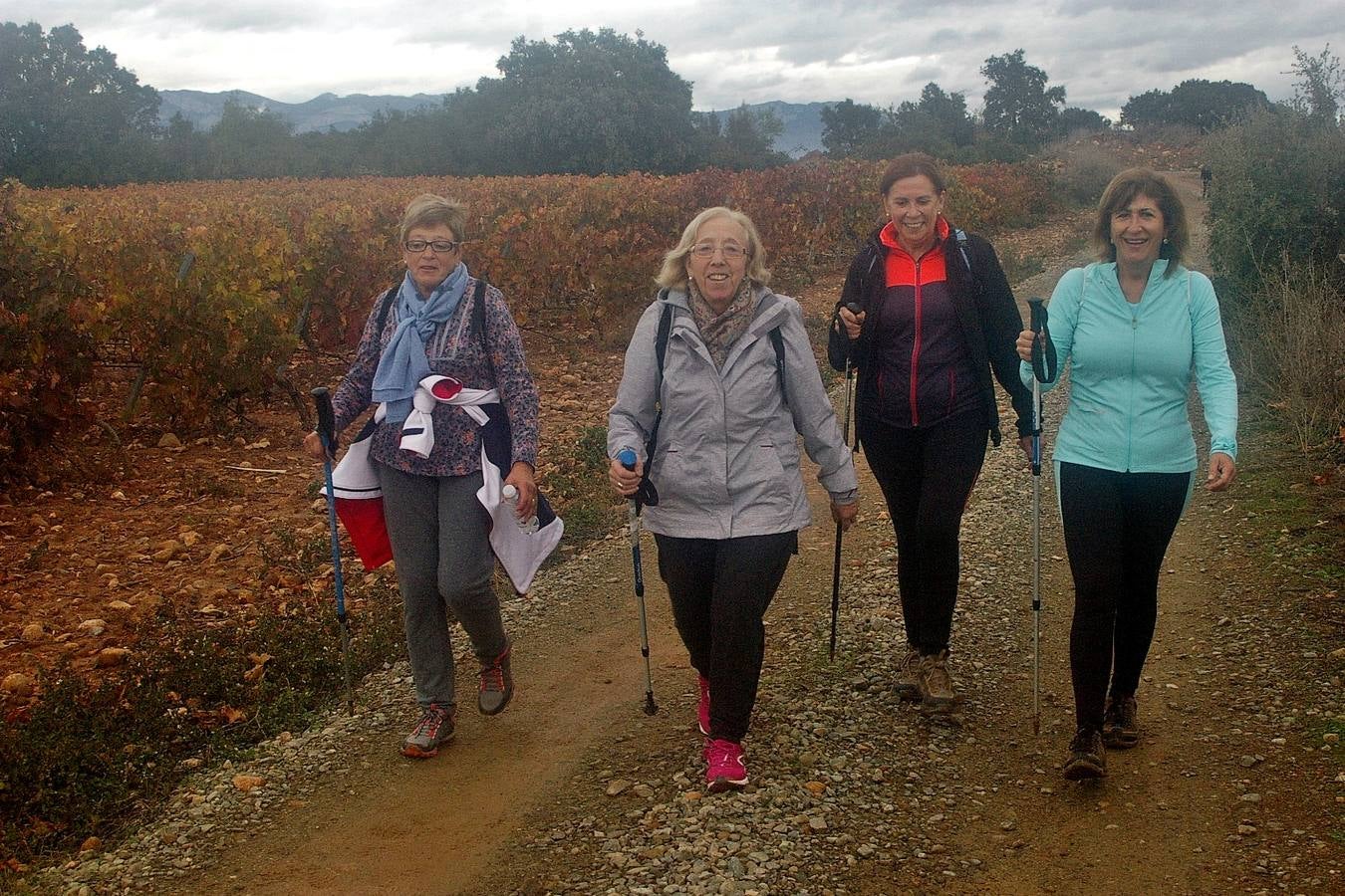 Alrededor de 150 personas estaban inscritas para tomar parte en una nueva edición de la 'Marcha de otoño', que tuvo lugar en Cenicero