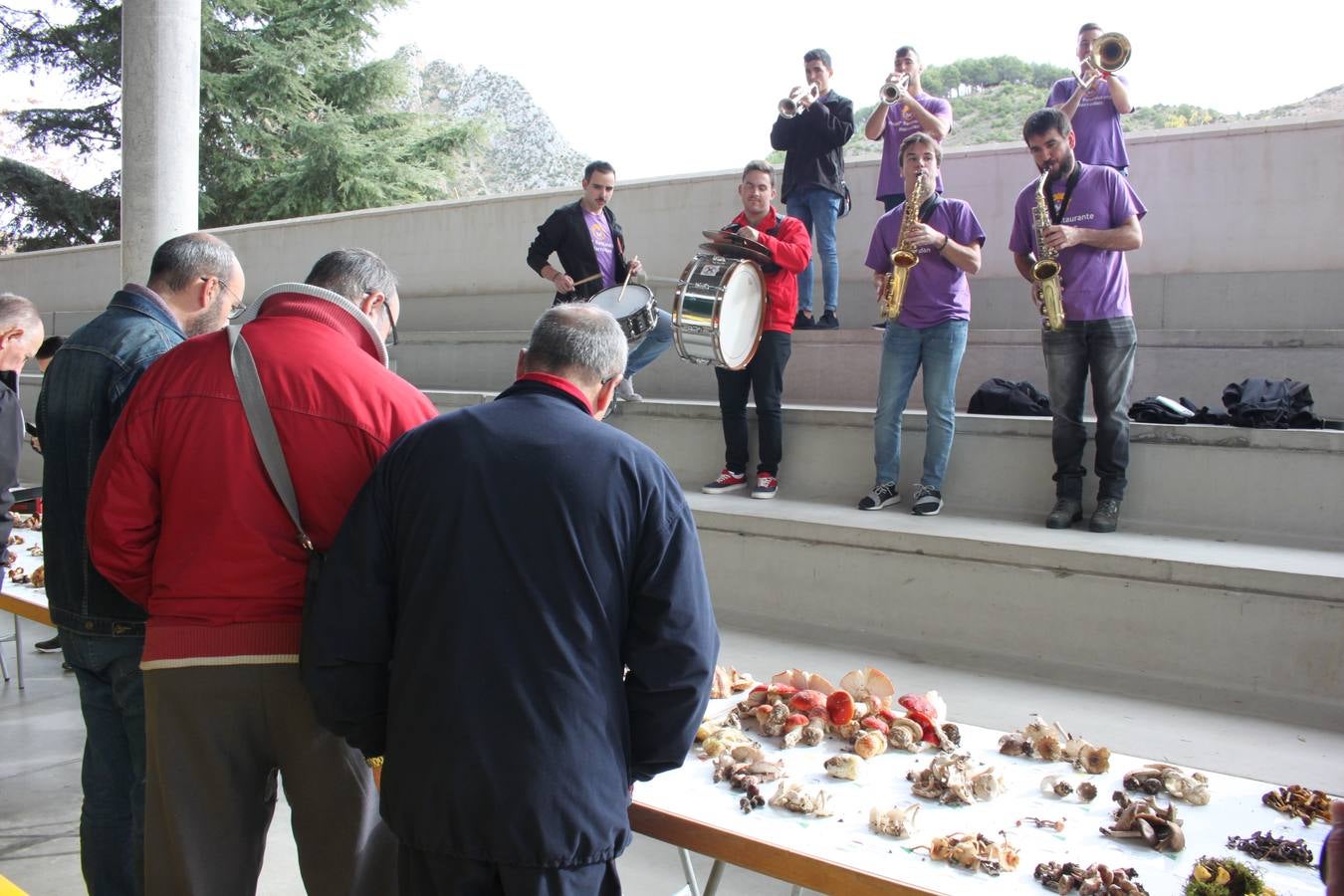 Fotos: XXVIII Jornadas Micologicas de Arnedillo