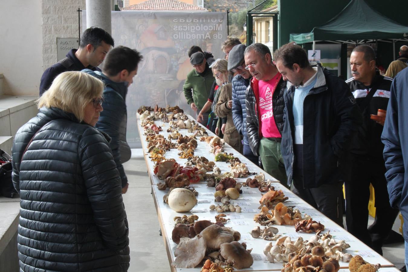 Fotos: XXVIII Jornadas Micologicas de Arnedillo