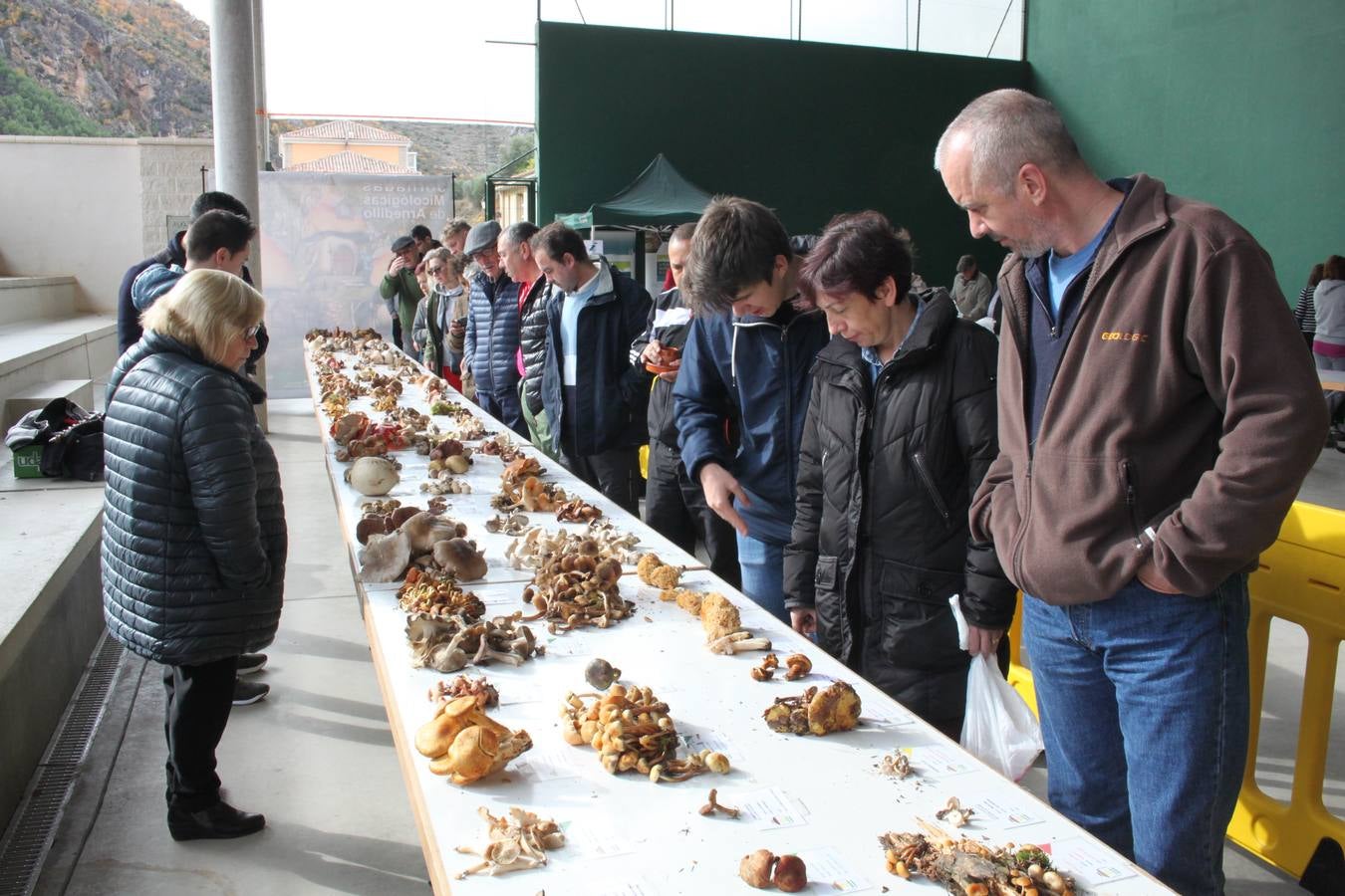 Fotos: XXVIII Jornadas Micologicas de Arnedillo