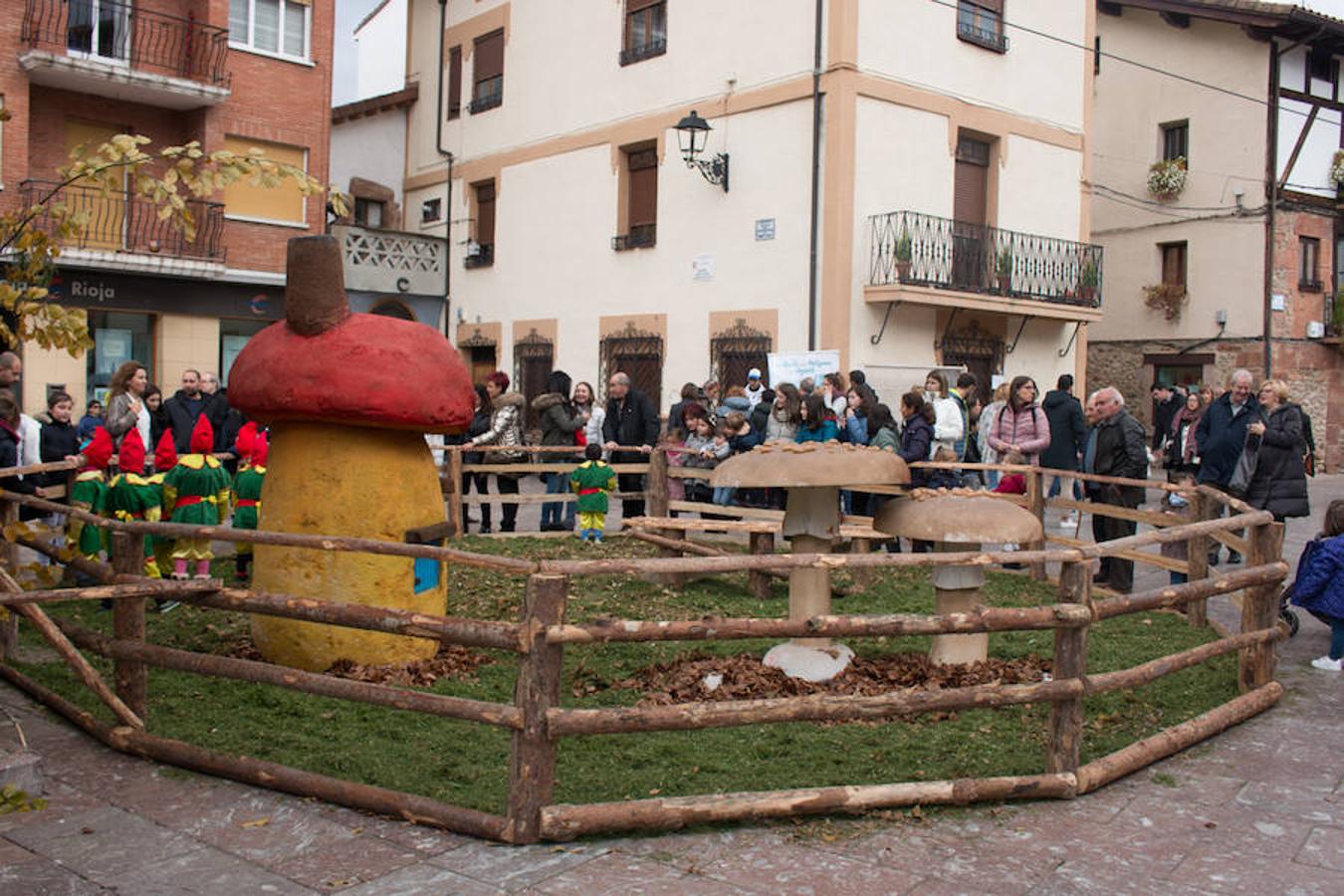 Imágenes de las XXVII Jornadas Micológicas, organizadas por la asociación Amigos de Ezcaray