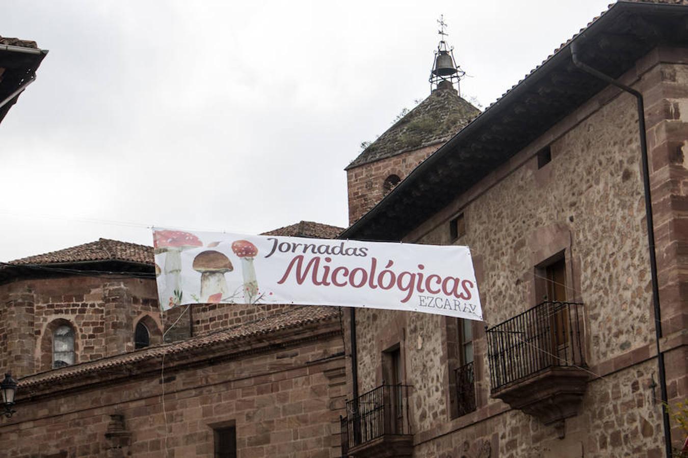 Imágenes de las XXVII Jornadas Micológicas, organizadas por la asociación Amigos de Ezcaray