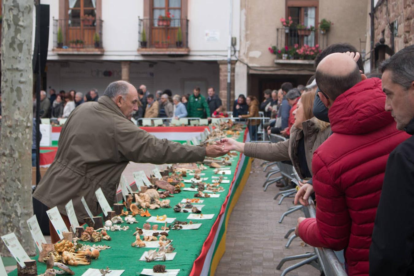 Imágenes de las XXVII Jornadas Micológicas, organizadas por la asociación Amigos de Ezcaray