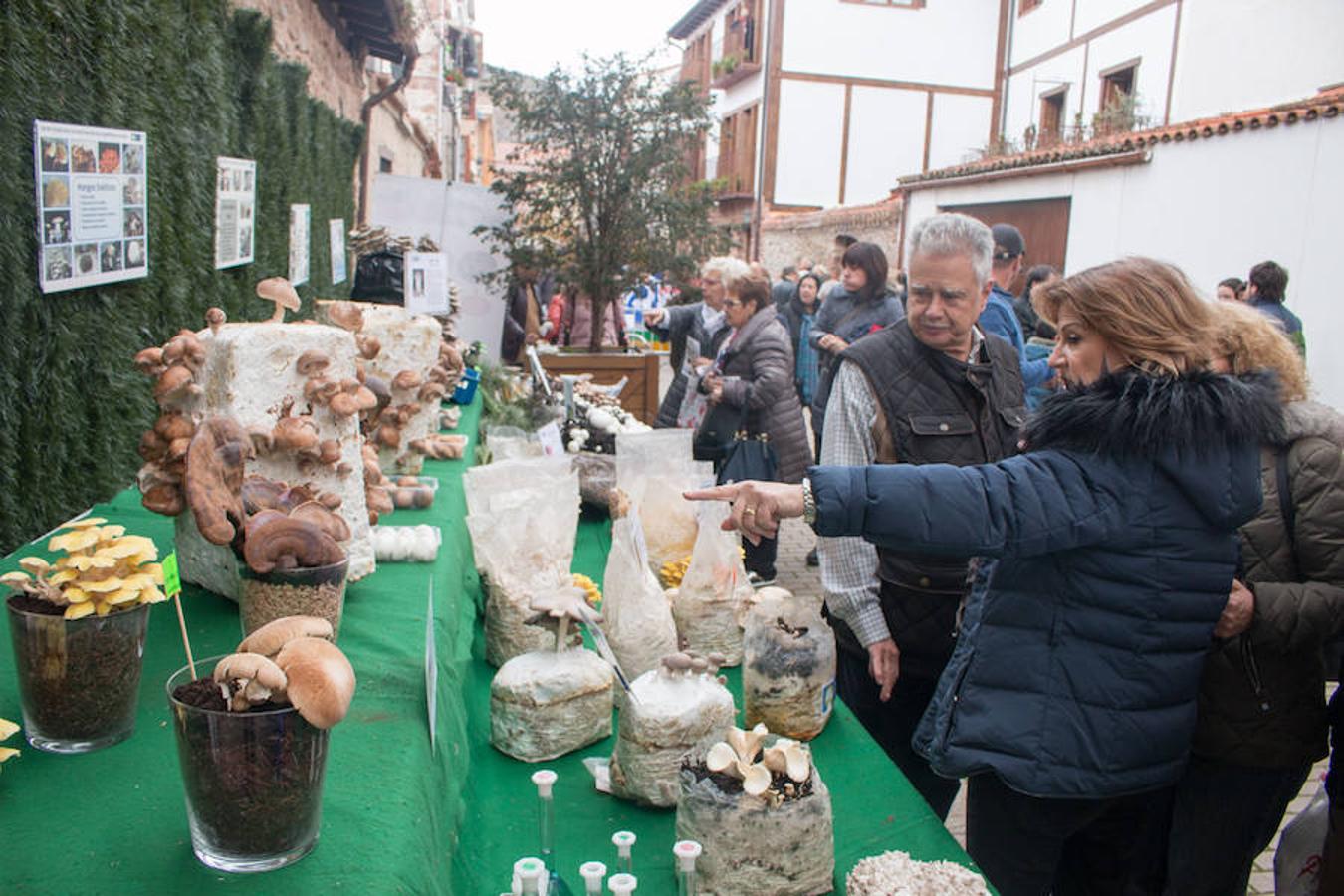 Imágenes de las XXVII Jornadas Micológicas, organizadas por la asociación Amigos de Ezcaray