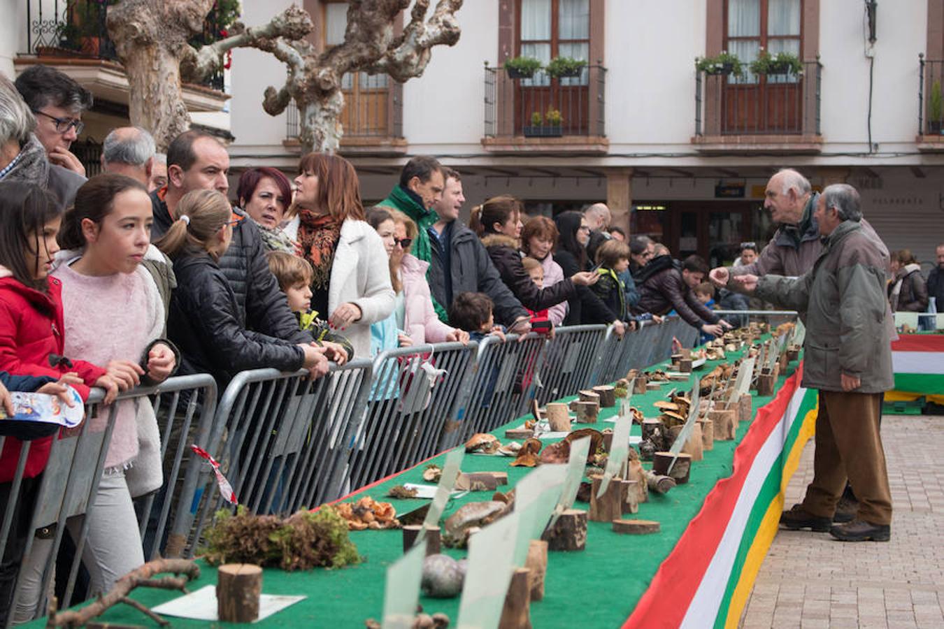 Imágenes de las XXVII Jornadas Micológicas, organizadas por la asociación Amigos de Ezcaray