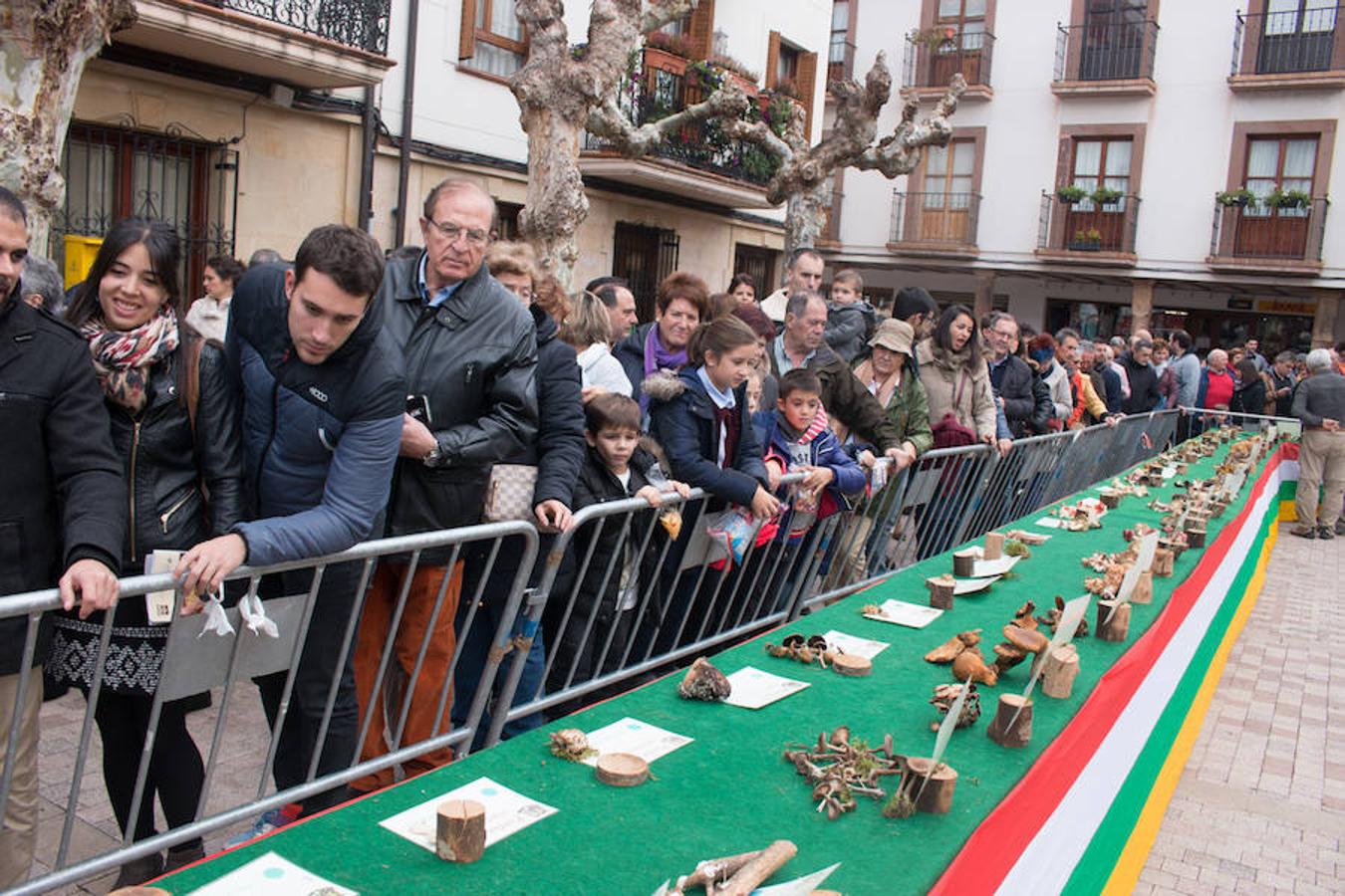 Imágenes de las XXVII Jornadas Micológicas, organizadas por la asociación Amigos de Ezcaray