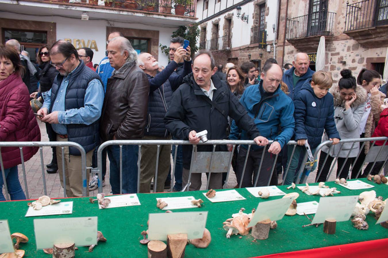 Imágenes de las XXVII Jornadas Micológicas, organizadas por la asociación Amigos de Ezcaray