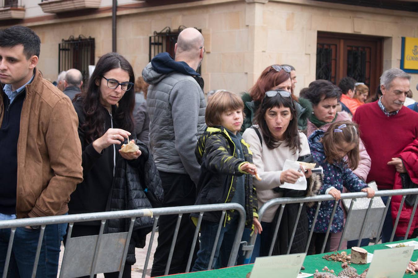 Imágenes de las XXVII Jornadas Micológicas, organizadas por la asociación Amigos de Ezcaray