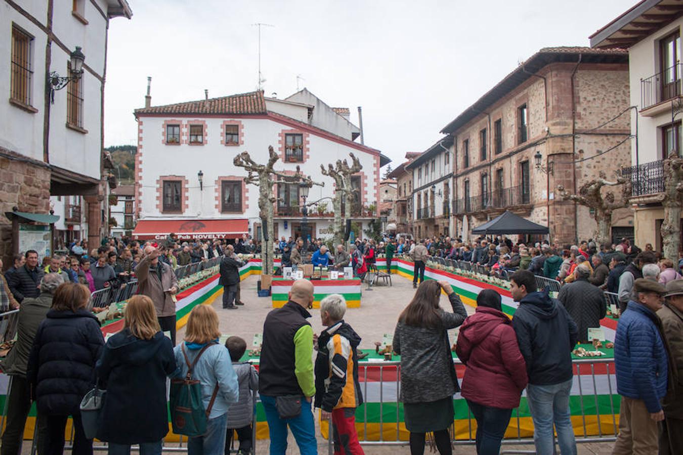 Imágenes de las XXVII Jornadas Micológicas, organizadas por la asociación Amigos de Ezcaray