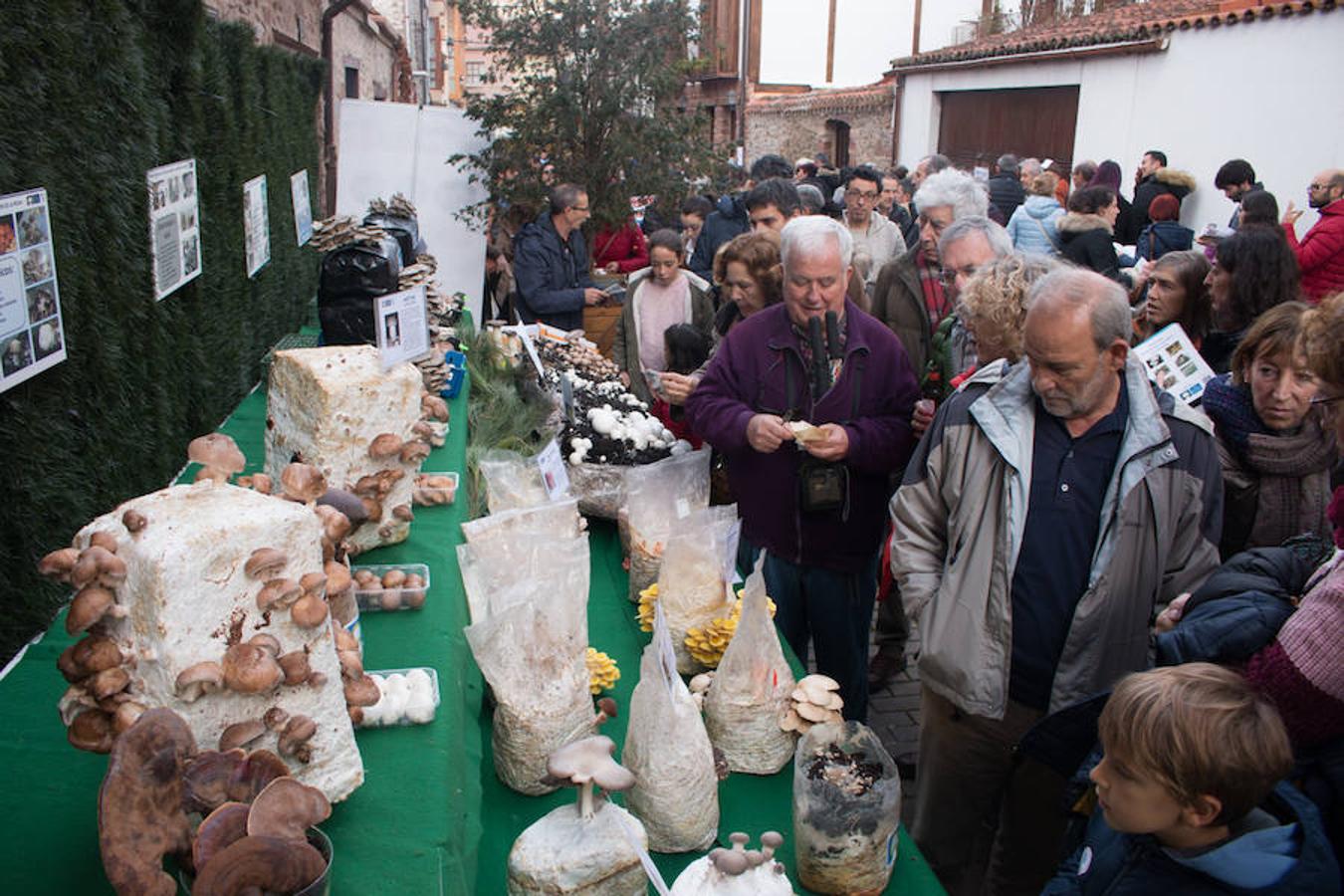 Imágenes de las XXVII Jornadas Micológicas, organizadas por la asociación Amigos de Ezcaray