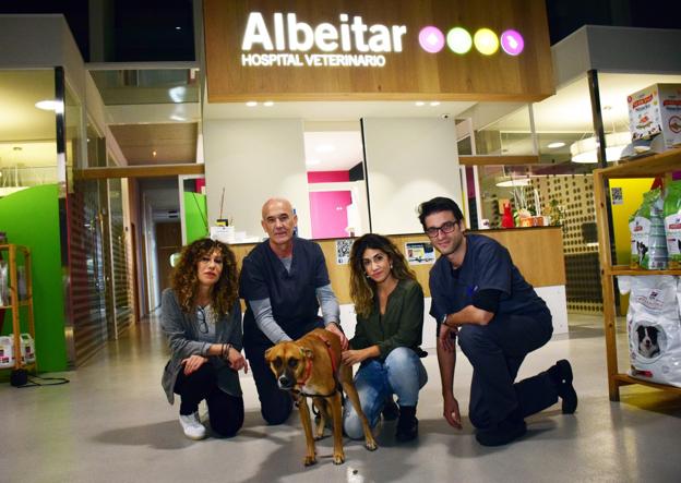 Nerea Goñi posa en Albeitar con los veterinarios que atendieron a su perra Aria, que resultó intoxicada con un cebo envenenado.