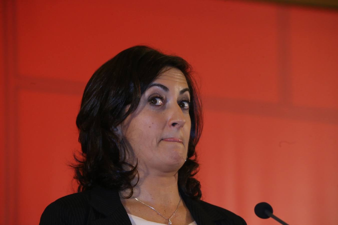 Ha presentado su candidatura a la Presidencia de La Rioja en un acto al que ha asistido la vicepresidenta del Gobierno central, Carmen Calvo